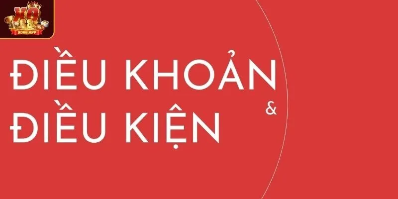 Tại sao điều khoản điều kiện quan trọng
